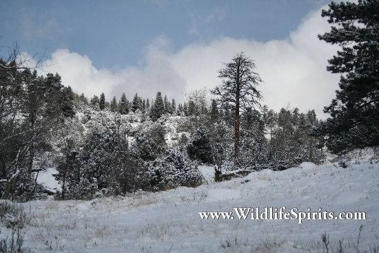 Click Picture to send as an  E-PostCard 57k 550x367